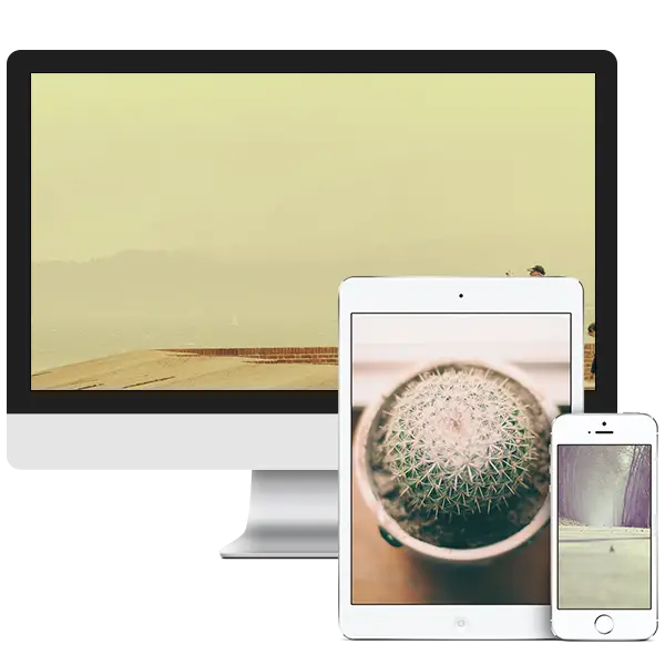 Desenvolvimento site wordpress