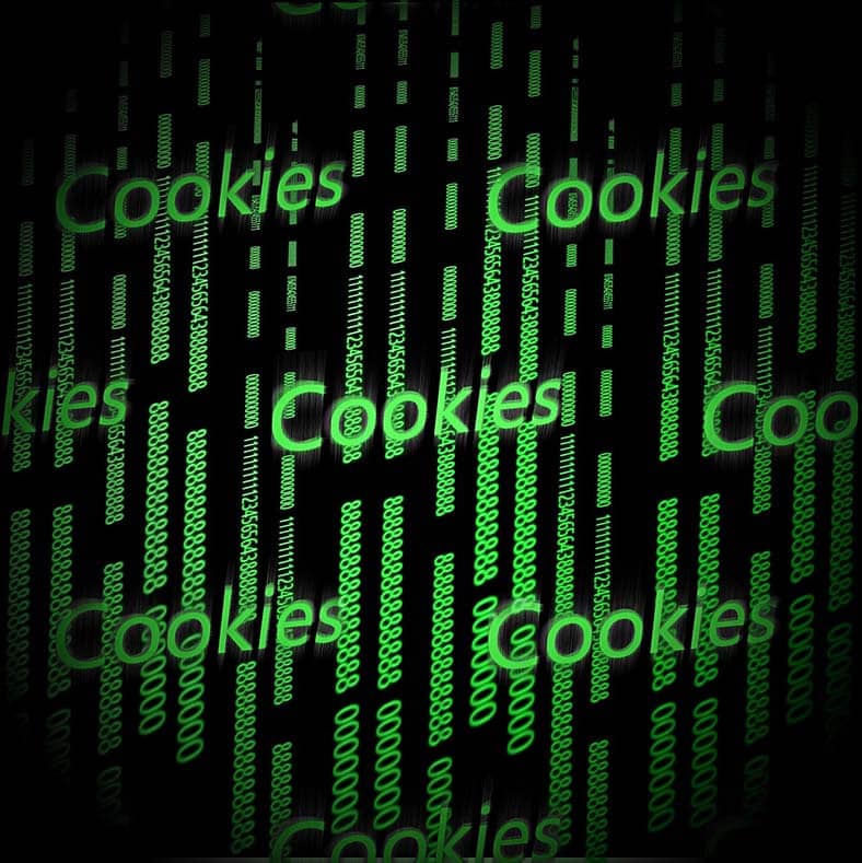 Cookies: Entenda as vantagens e desvantagens
